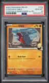 Cynthia'S Gible