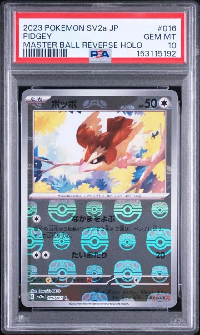 Pidgey