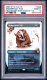 Badgermole Cub