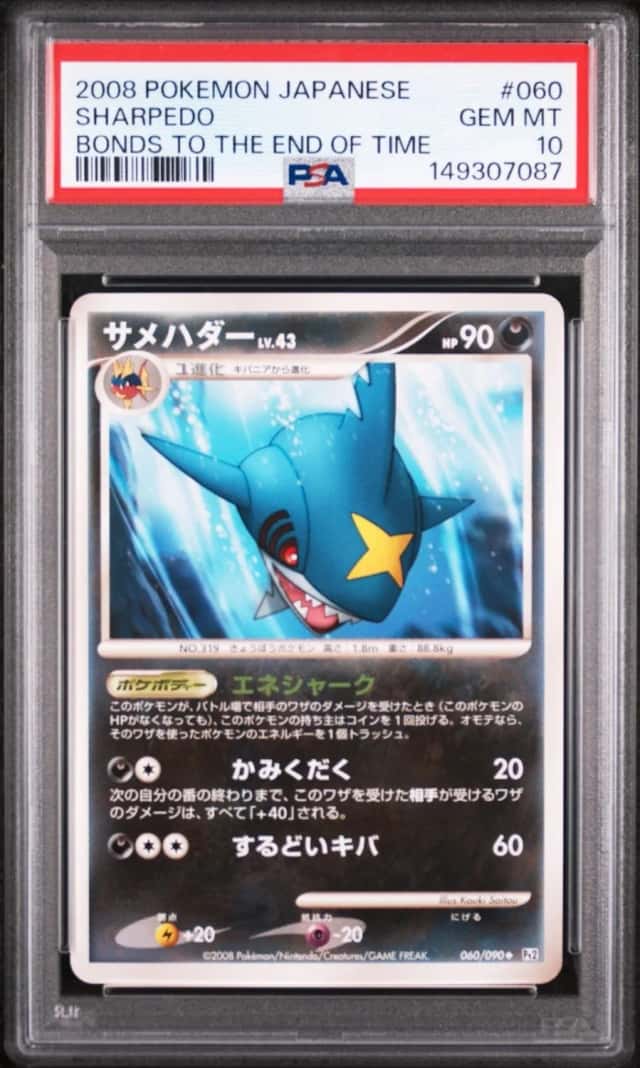 Sharpedo