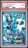 Thundurus Ex