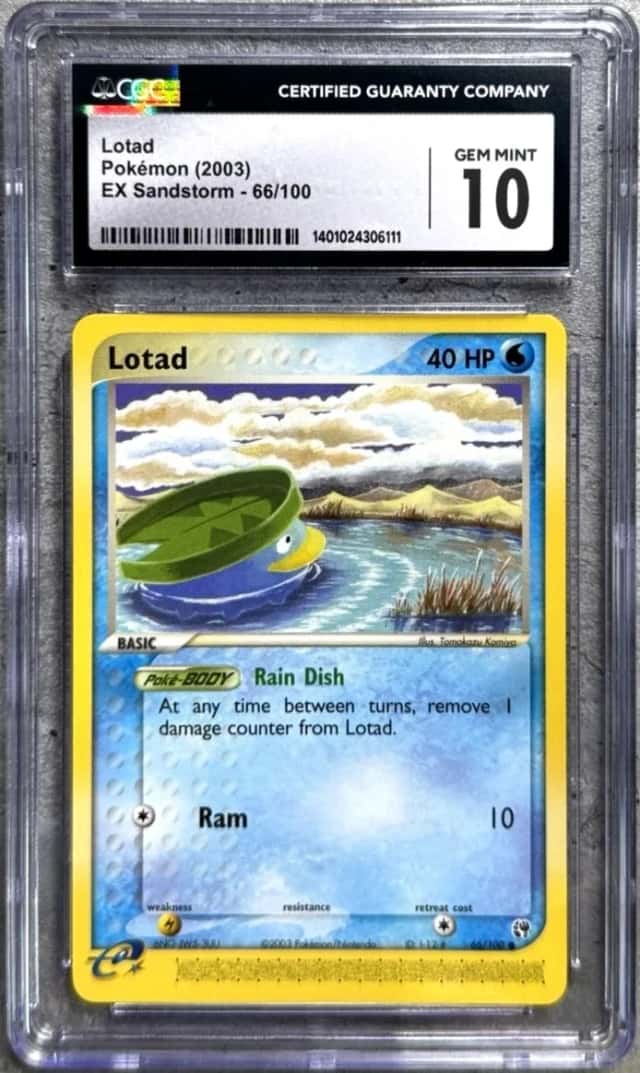 Lotad