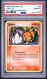 Torchic