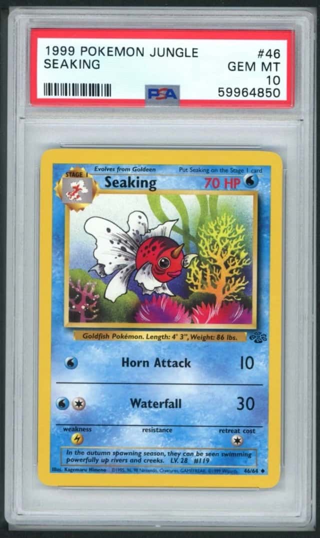 Seaking