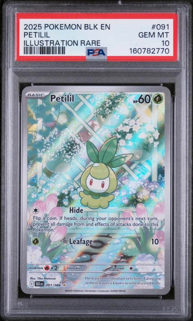 Petilil