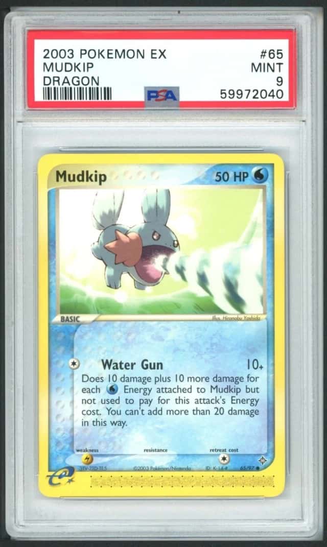 Mudkip