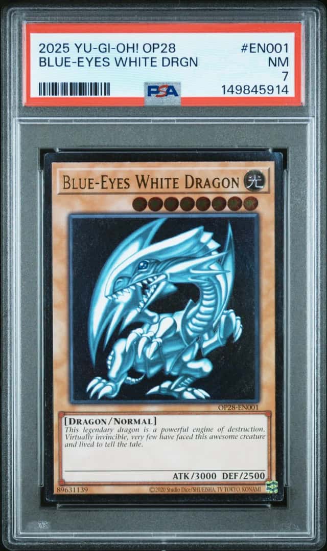 BLUE-EYES WHITE DRGN