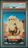 Arcanine