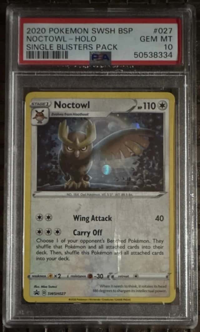Noctowl