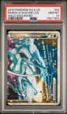 Raikou & Suicune Legend