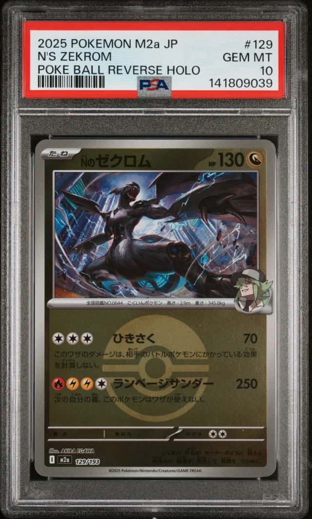 N's Zekrom