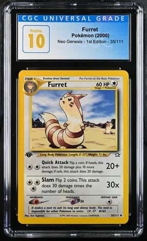 Furret