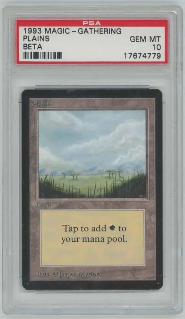 Plains