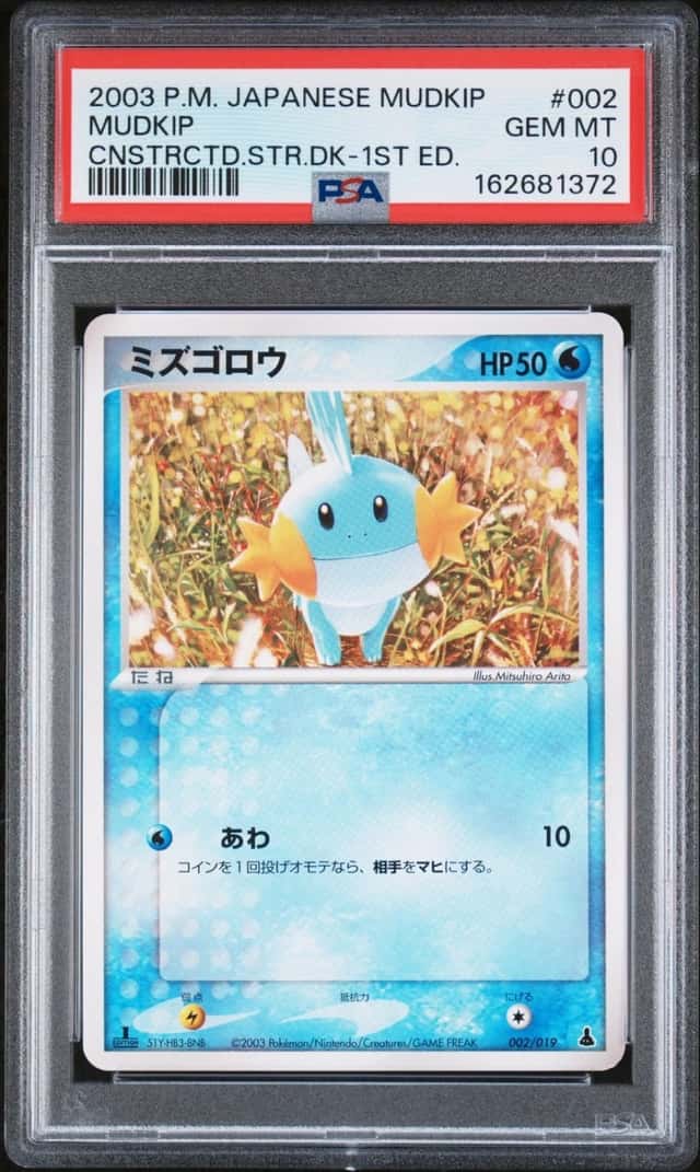 Mudkip