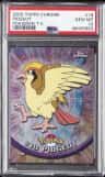 Pidgeot