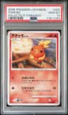 Torchic