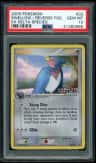 Swellow