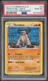 Terrakion