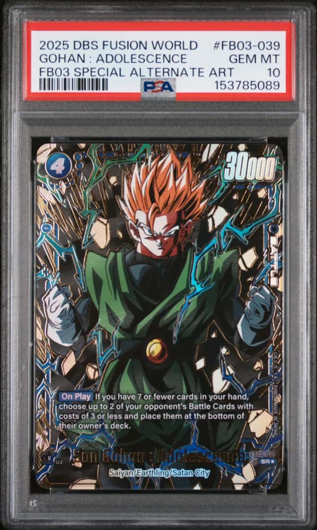 Gohan : Adolescence