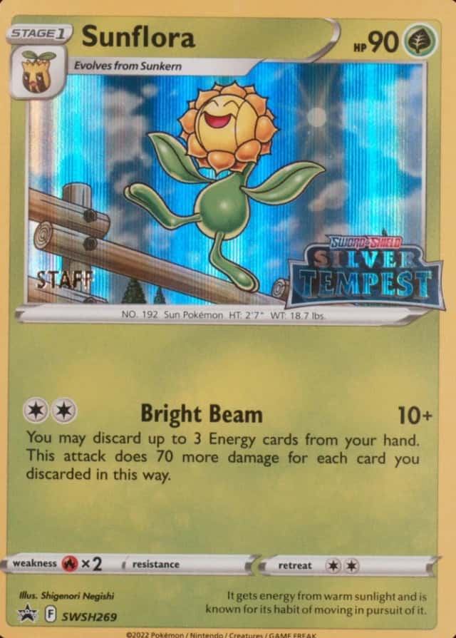 Prerelease · Staff