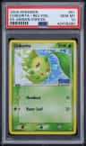 Chikorita