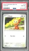 Lillipup