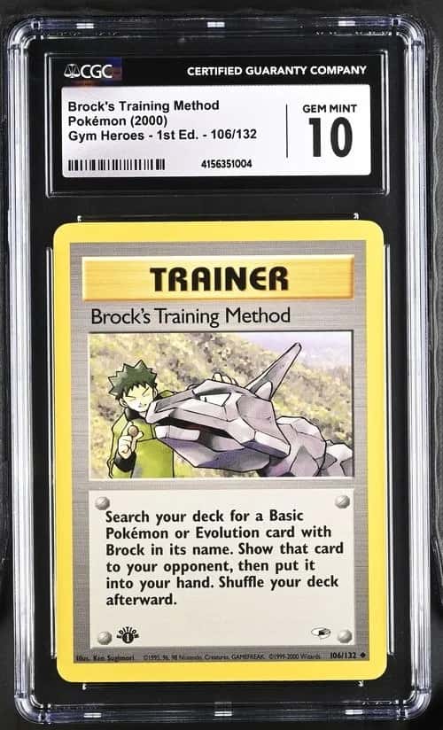 Brock's Training