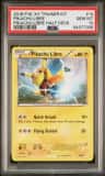 Pikachu Libre