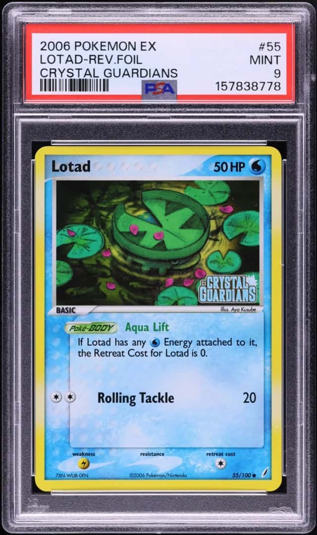 Lotad
