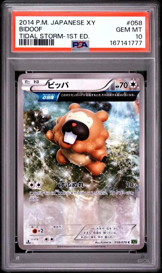 Bidoof