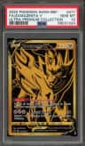Zamazenta V
