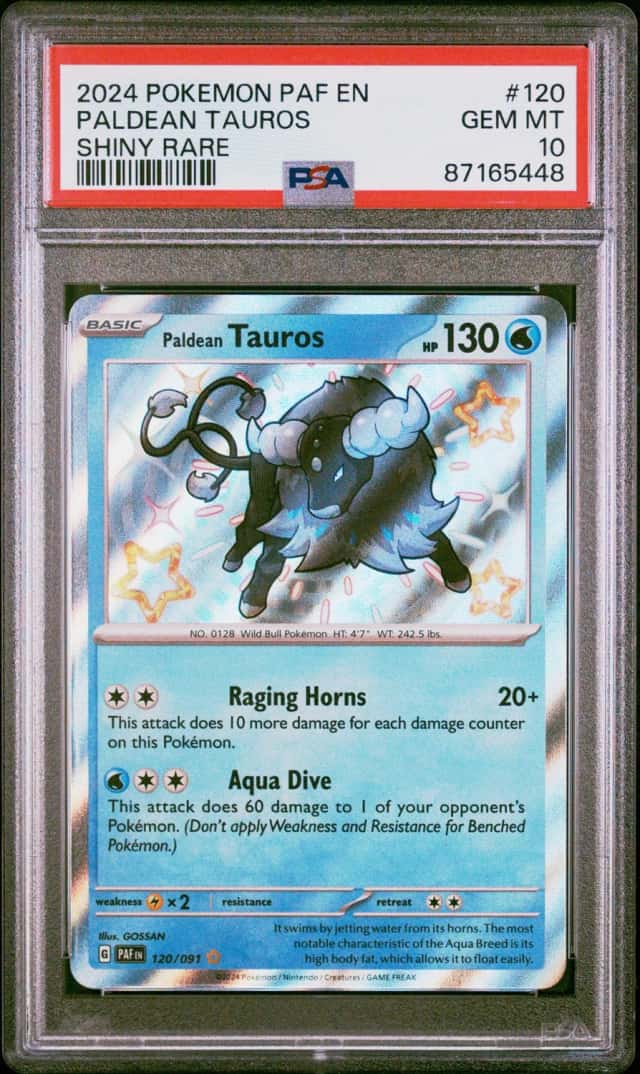 Paldean Tauros