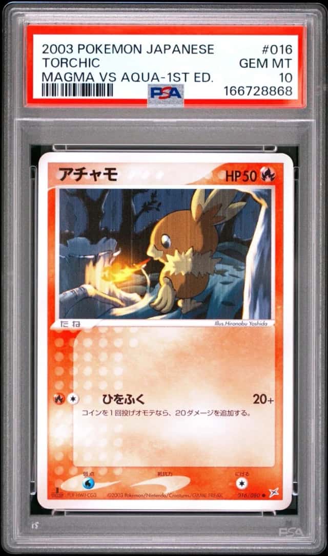 Torchic