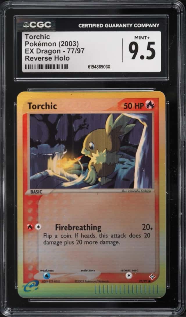 Torchic