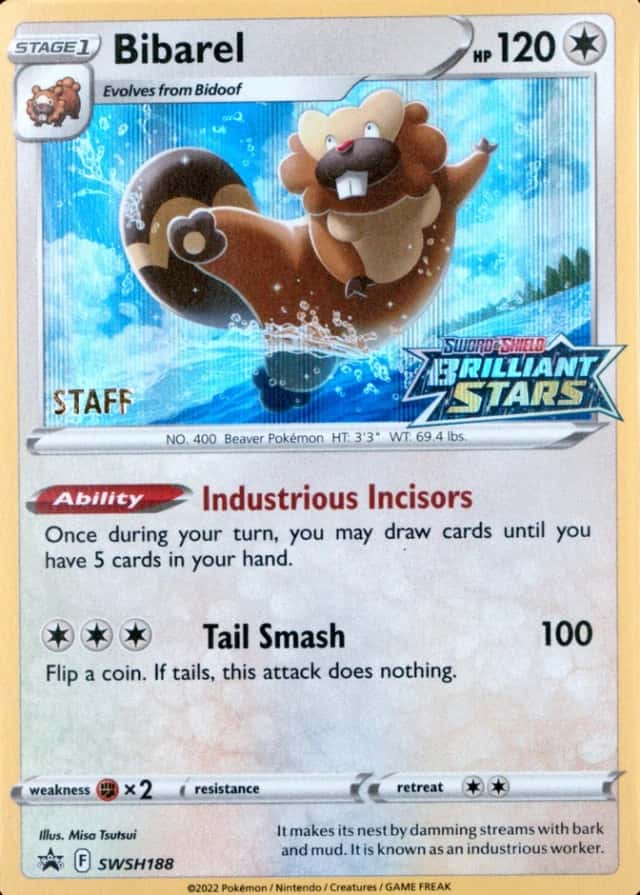 Prerelease · Staff