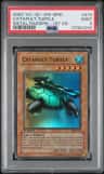 Catapult Turtle