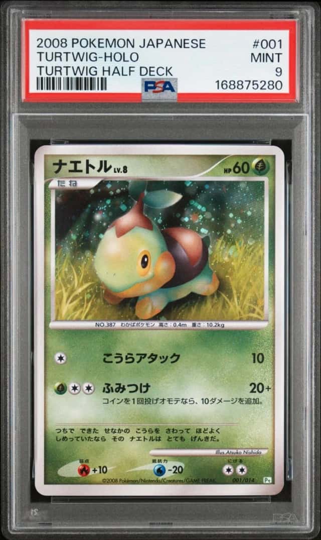 Turtwig