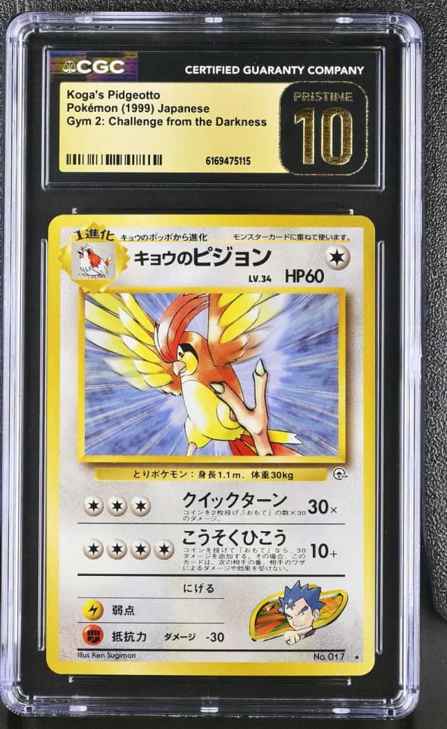 Koga's Pidgeotto