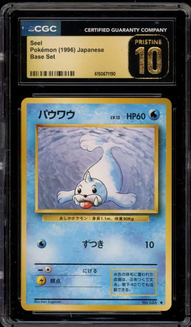 Seel