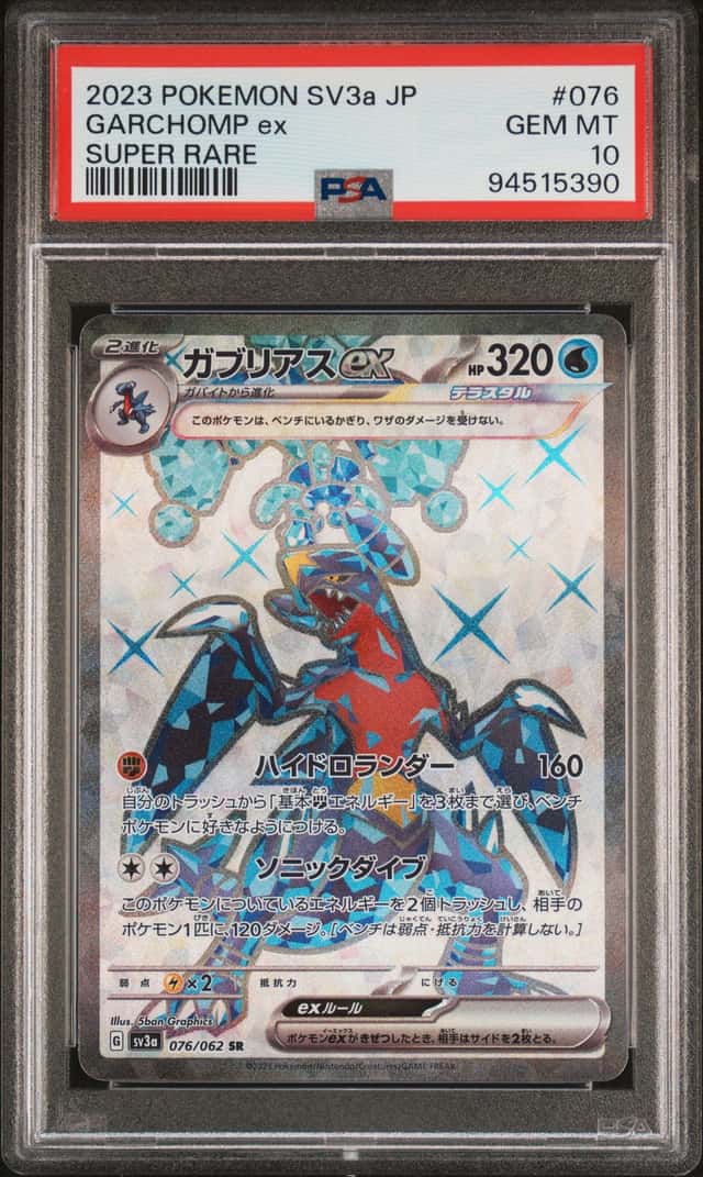 GARCHOMP ex