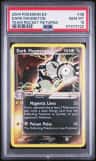 Dark Magneton
