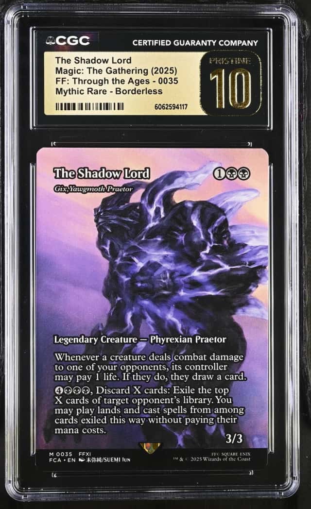 The Shadow Lord