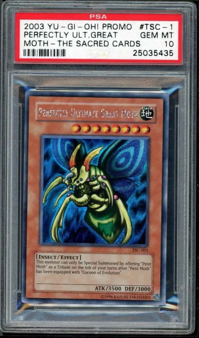 PRFCT.ULT.GREAT MOTH