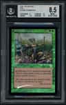 Elvish Champion