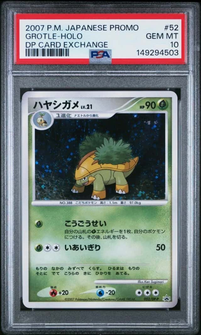 Grotle