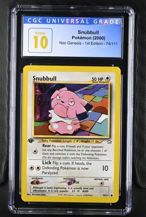 Snubbull