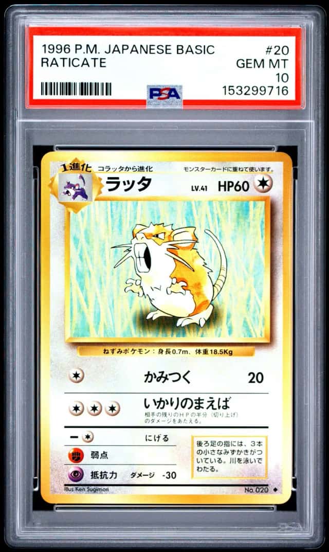 Raticate