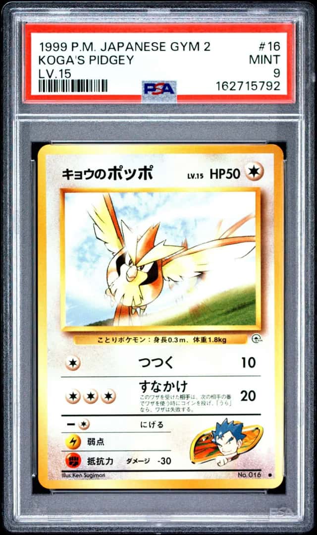 Koga's Pidgey