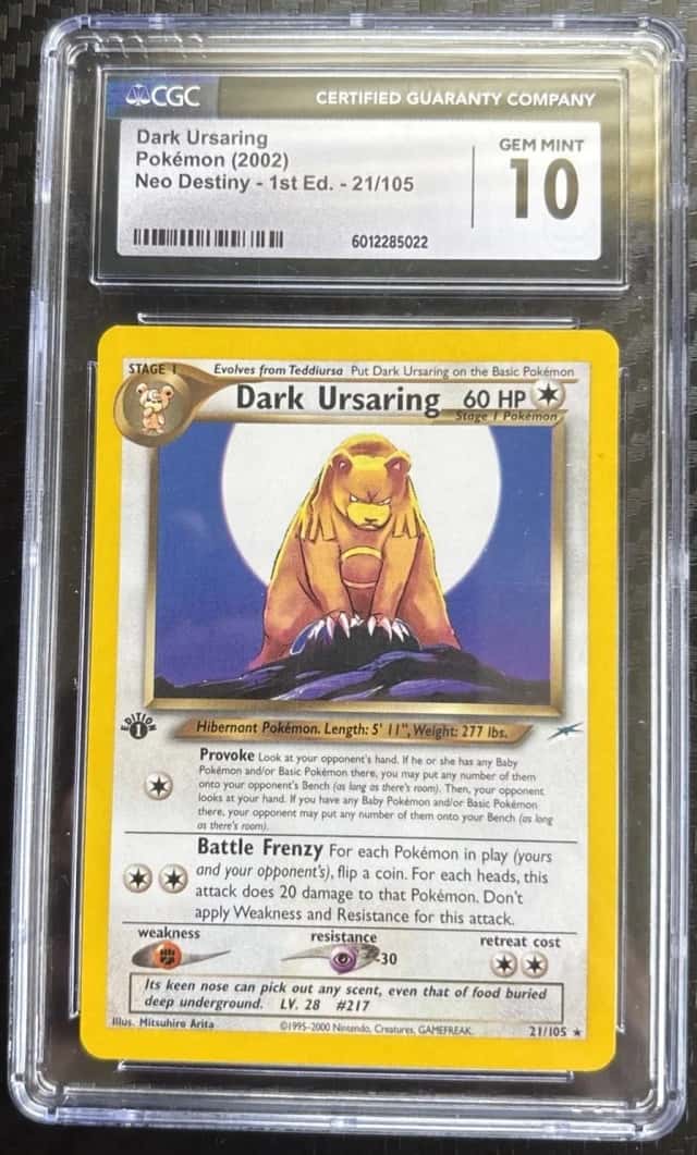 Dark Ursaring