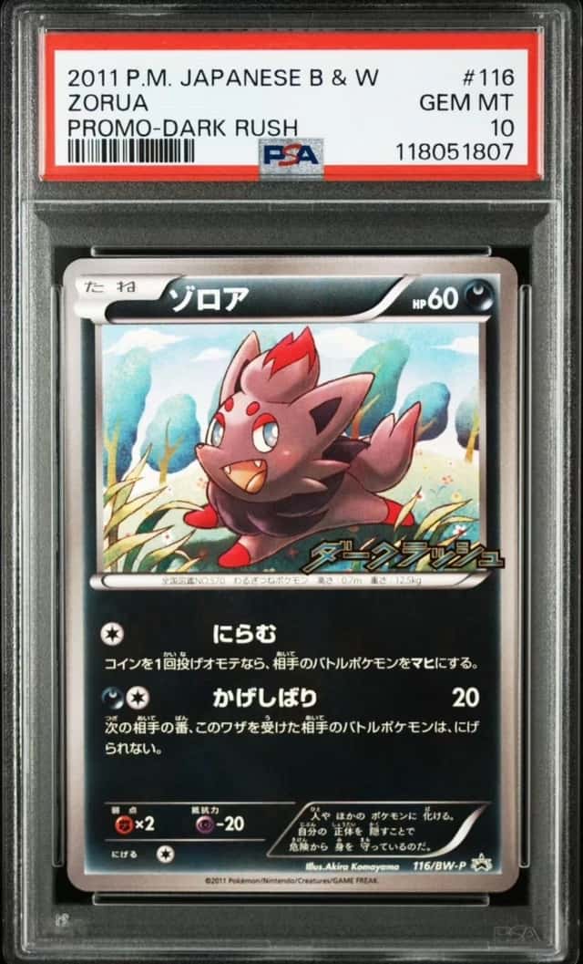 Zorua